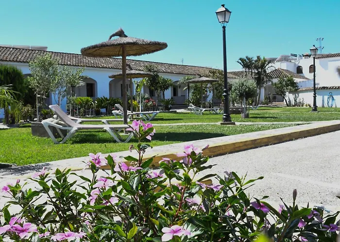 La Codorniz