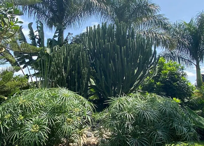 Bed and Breakfast Garden Escape Arusha