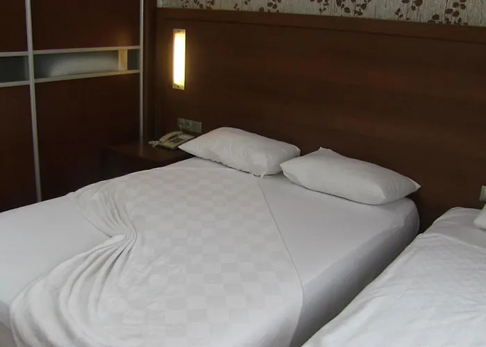 Paluri Otel Hopa