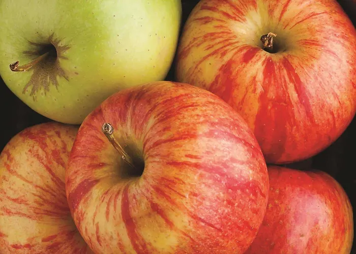 La Quinta By Wyndham Glenwood Springs