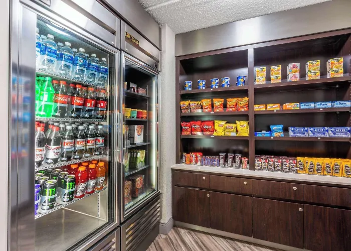 Super 8 By Wyndham The Woodlands North