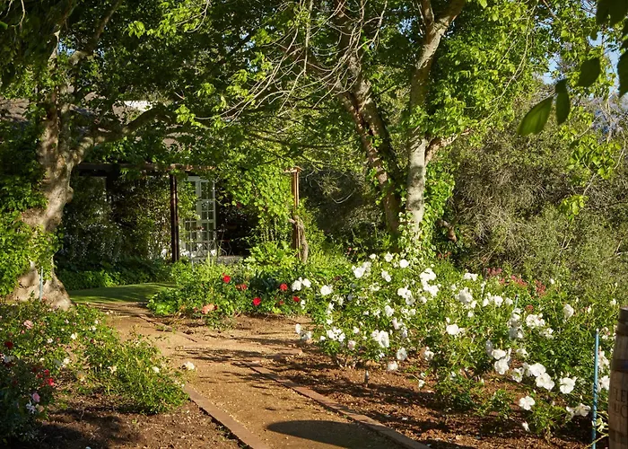 The Devon Valley Hotel