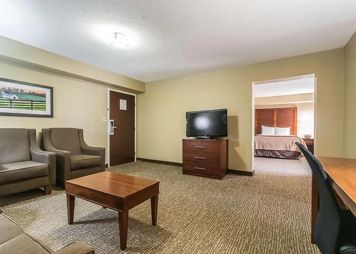 Comfort Inn&Suites Lexington - Hamburg I-75