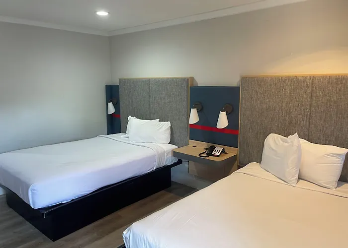 The Midtowner Hotel, Surestay Collection By Best Western