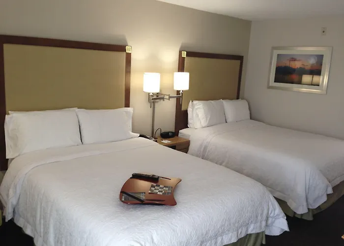 Hampton Inn Tampa-Rocky Point