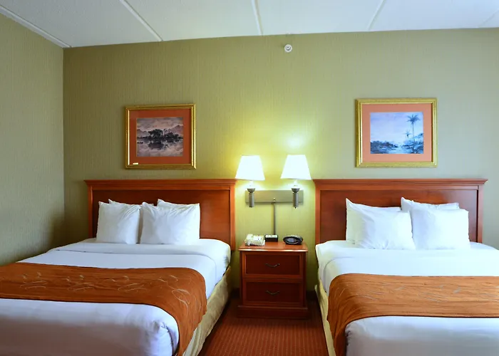 Comfort Suites Northlake