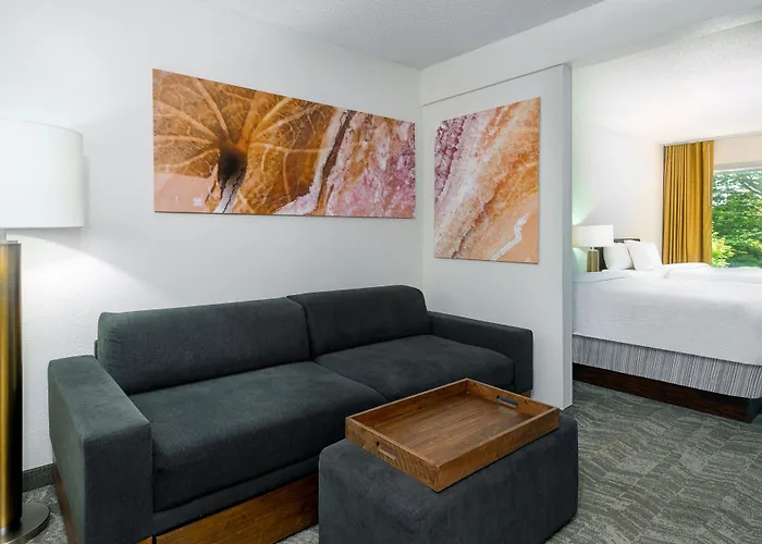 Springhill Suites Asheville