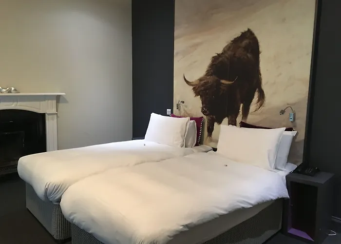B+B Edinburgh