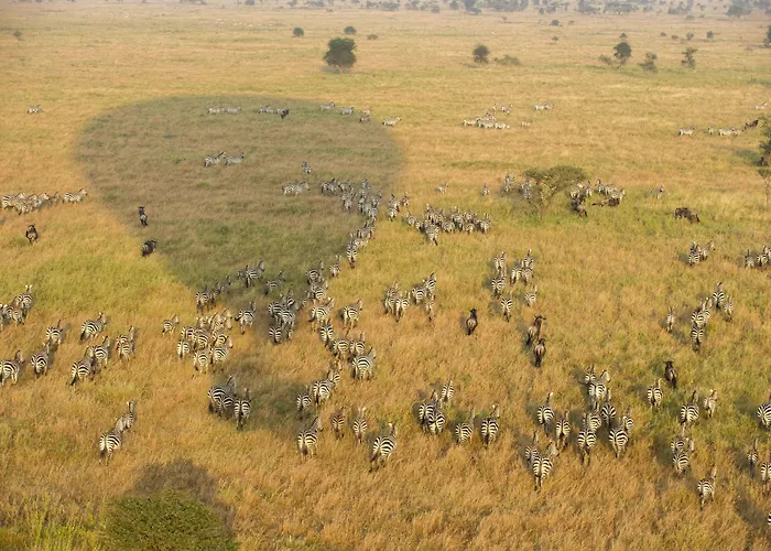 Serengeti Serena Safari Lodge
