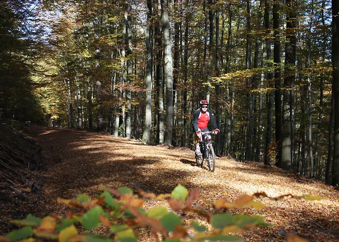 Hotel Gasthof Zum Biber