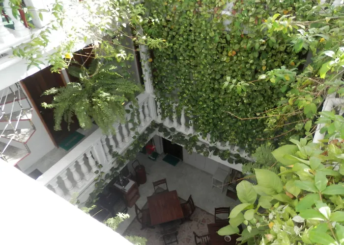 Patio De Getsemani