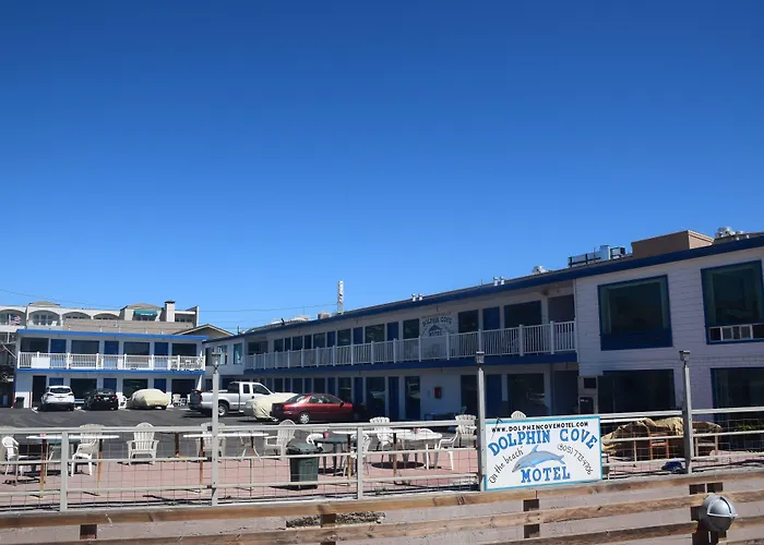 Dolphin Cove Motel