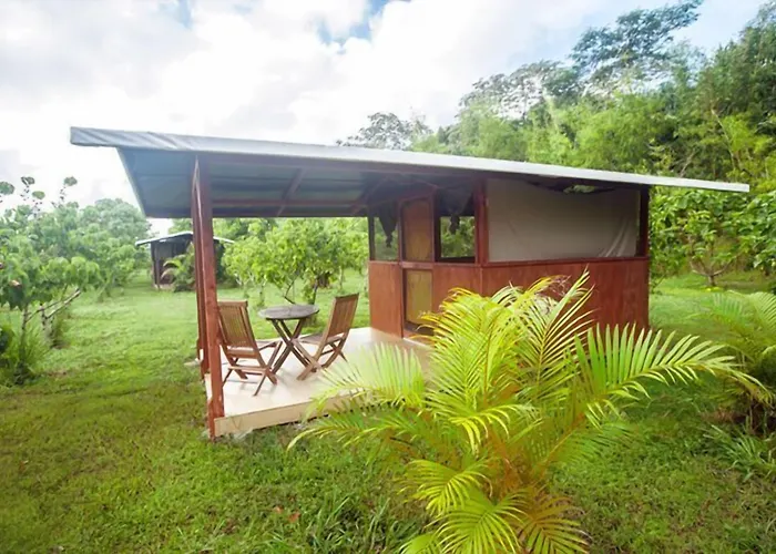 Kirpal Meditation And Ecological Center
