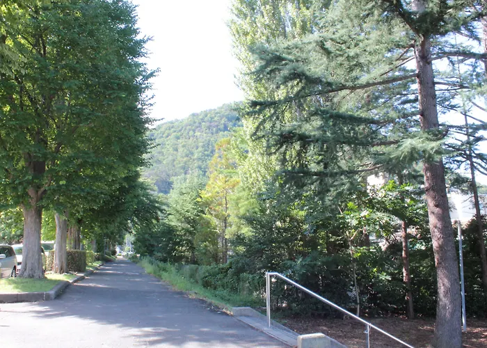 Yamagata-City Akoya