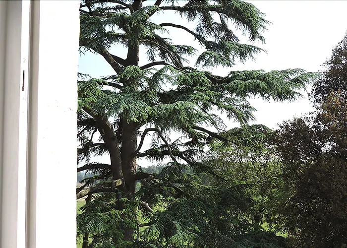 Le Domaine De Mestre, The Originals Relais