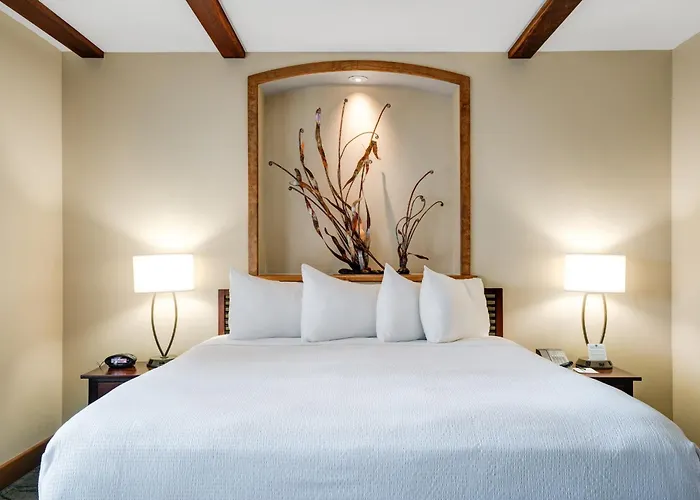 Luxury Collection Hotel