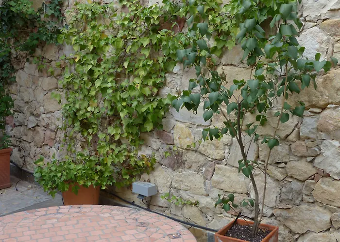 Hosteria Del Arco
