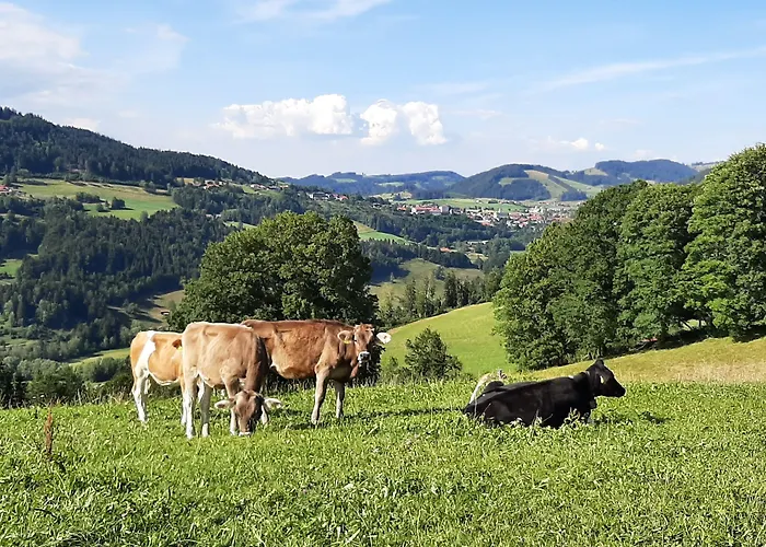 Weixler Schindelberg