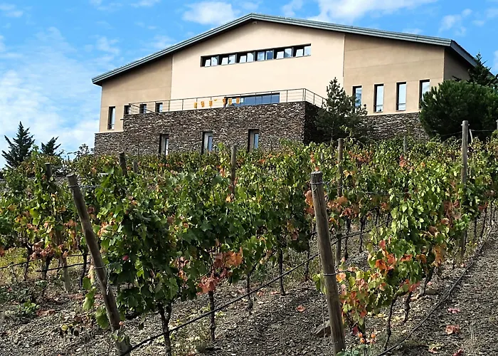 Buil & Gine Wine Hotel