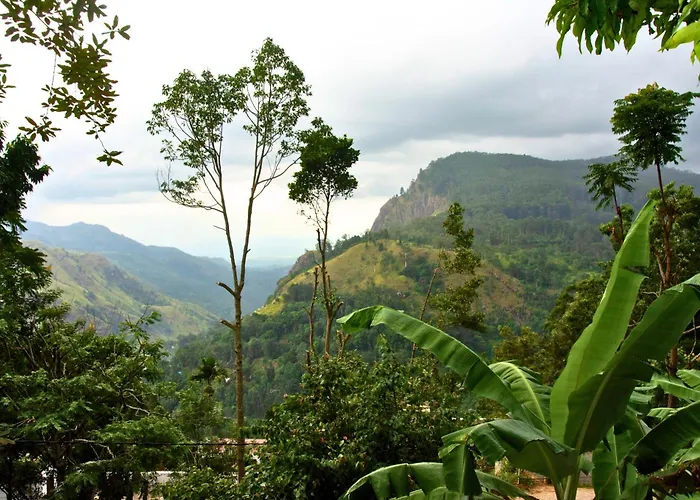 Wonderland View