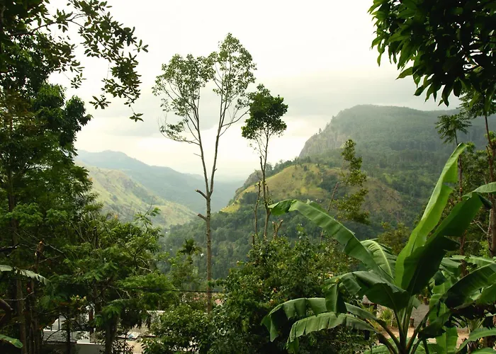 Wonderland View