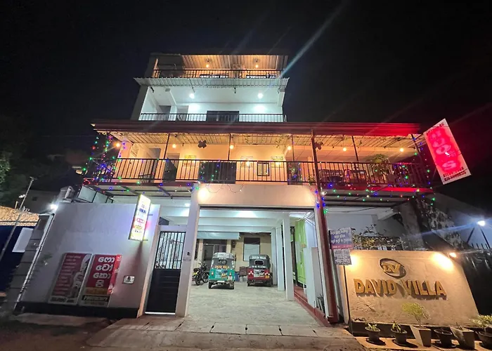David Villa