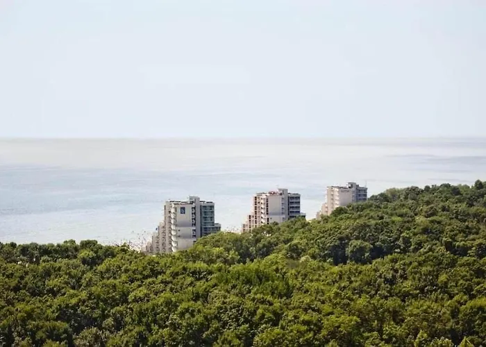 Hotel Boryana