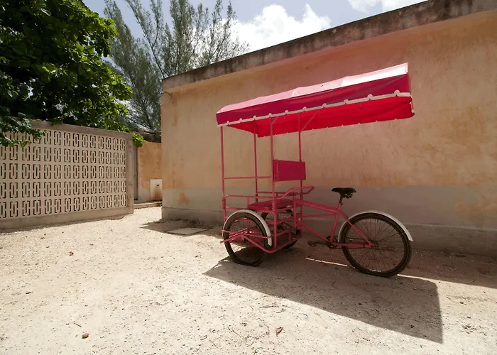 Club De Patos