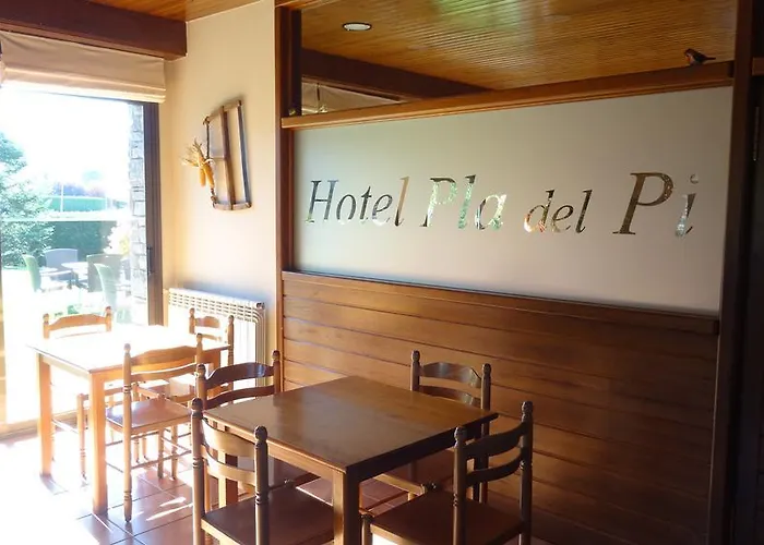 Hotel Pla del Pi