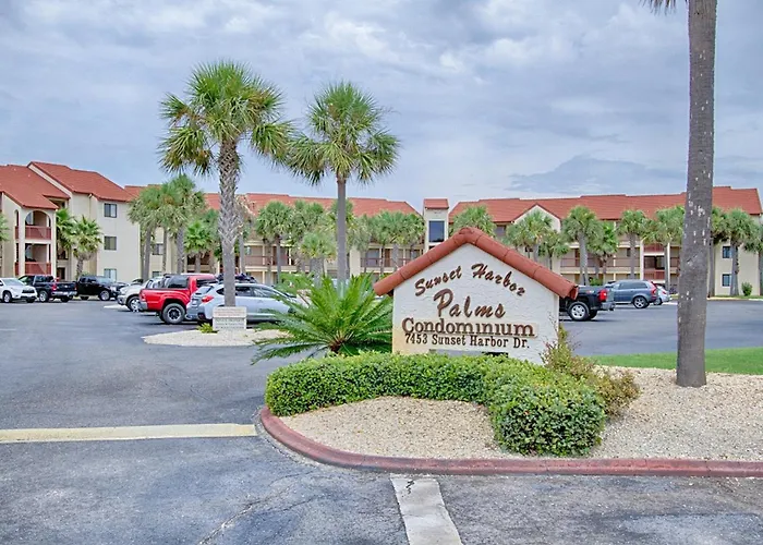Sunset Harbor Palms 2-304