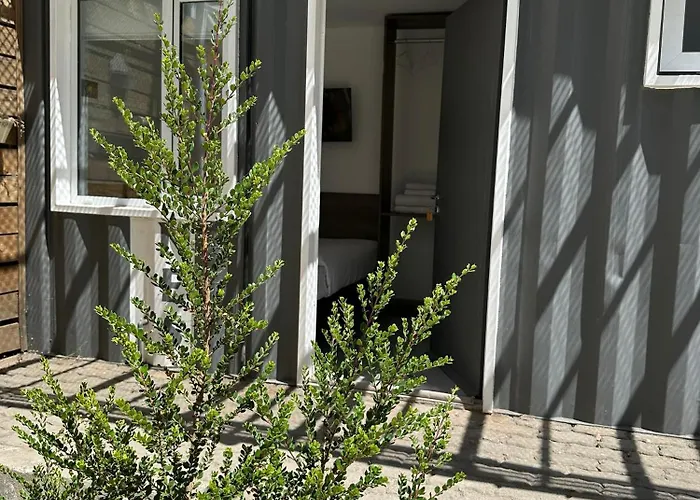 Dormis Aca