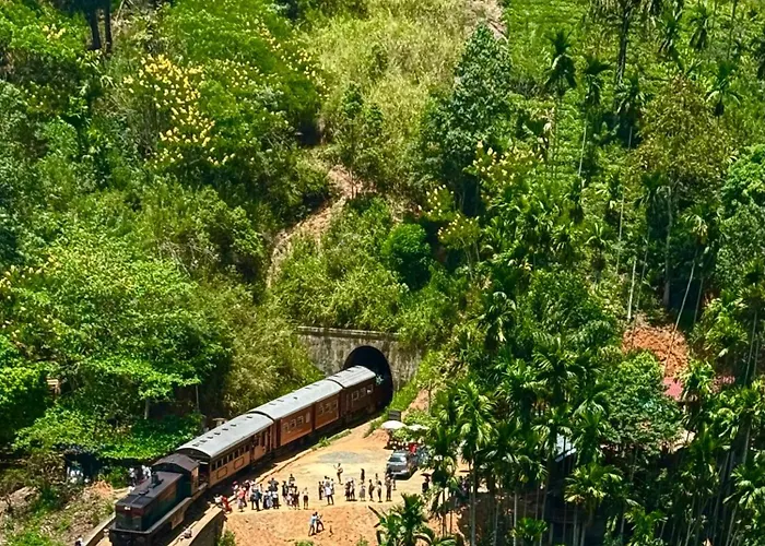 Green Nature Paradise Ella