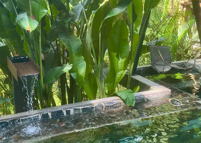Canaima Chill House