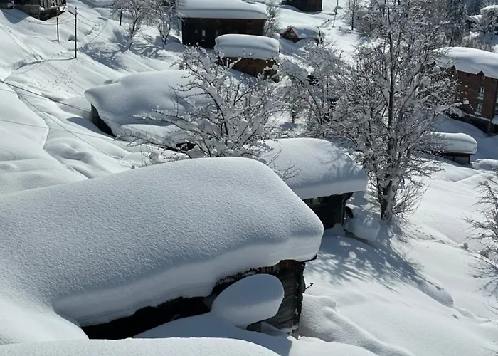 Ayder Villa De Pelit Hotel