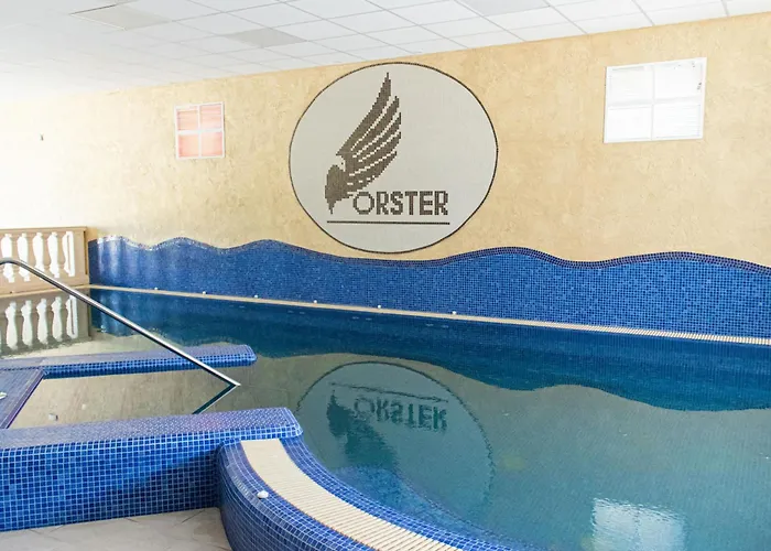 Forster Vadaszkastely Wellness Es Konferencia Szalloda