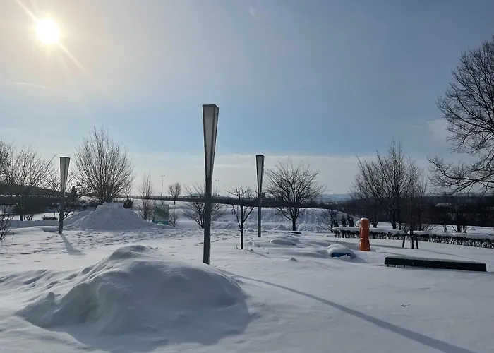 Hotel Amanek Asahikawa
