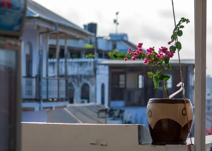 Treasures Of Zanzibar House