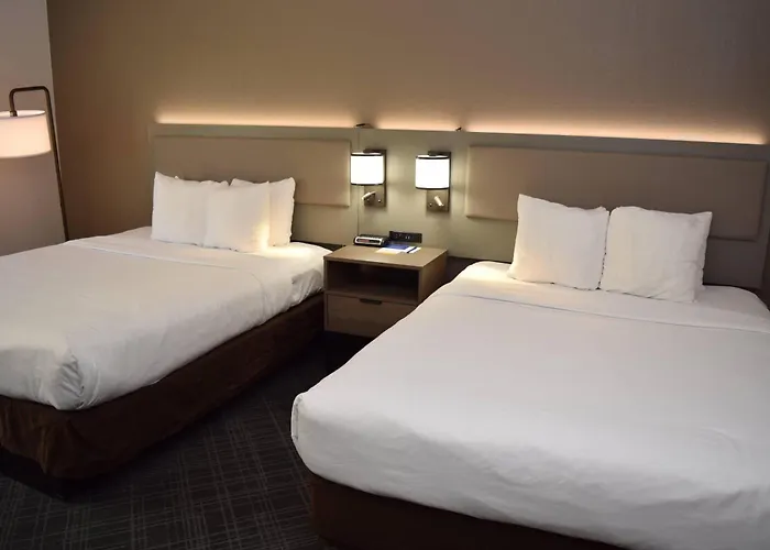 Comfort Inn&Suites Syracuse-Carrier Circle