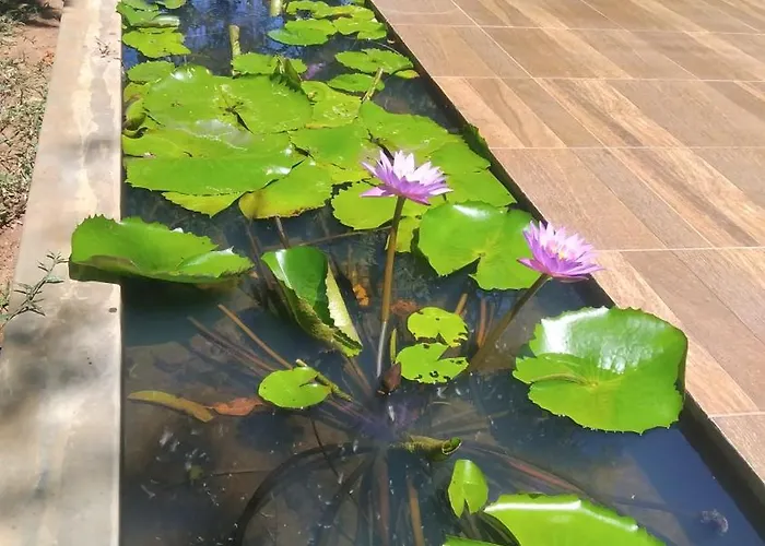 Vimanra Udawalawa