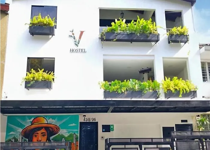 Vida Hostel