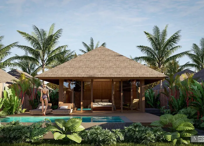 Kappa Senses Zanzibar