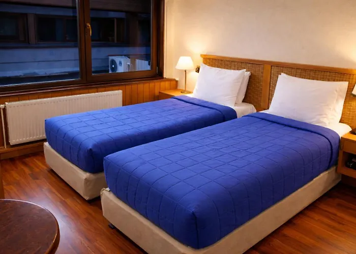 Gran Hotel Vicente Costanera