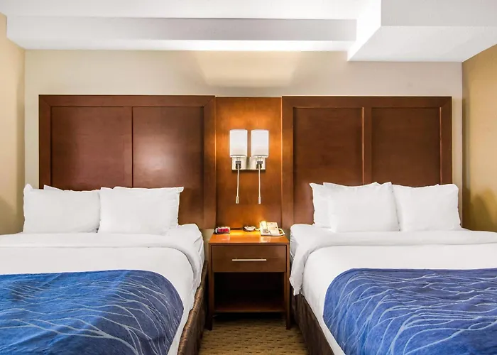 Comfort Inn & Suites Medicine Hat Shopping Centre