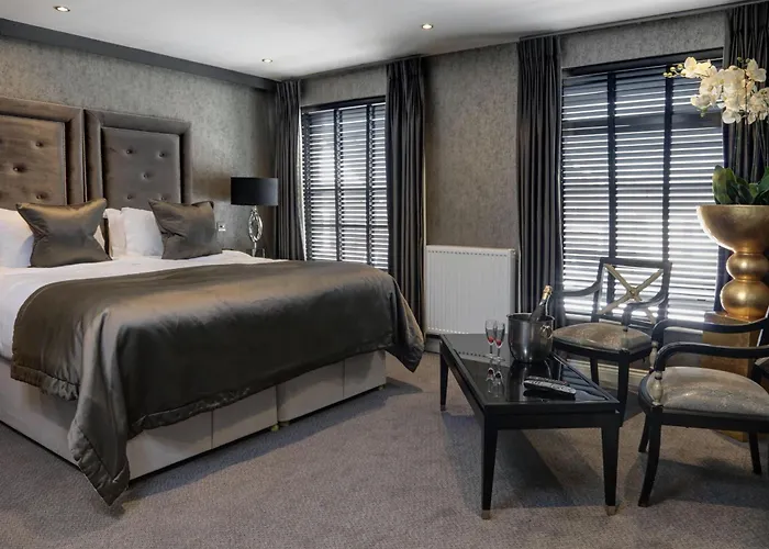 The Bold Hotel; BW Signature Collection