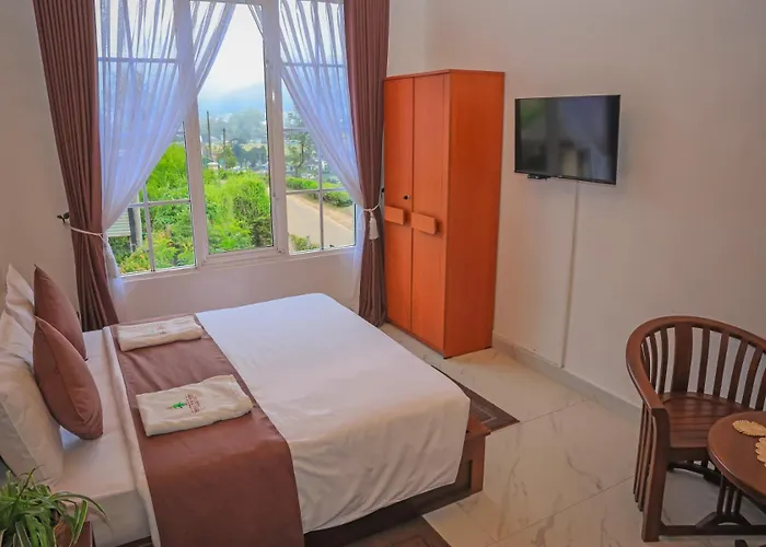 The Mount View Single Tree Hotel