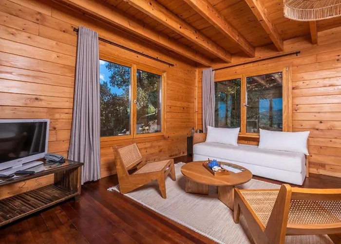 Chalets&SPA à l'eau thermale