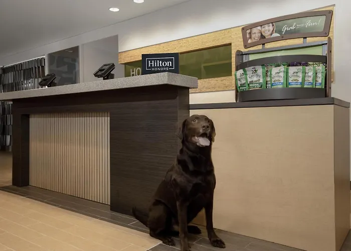 Home2 Suites By Hilton Anchorage/Midtown