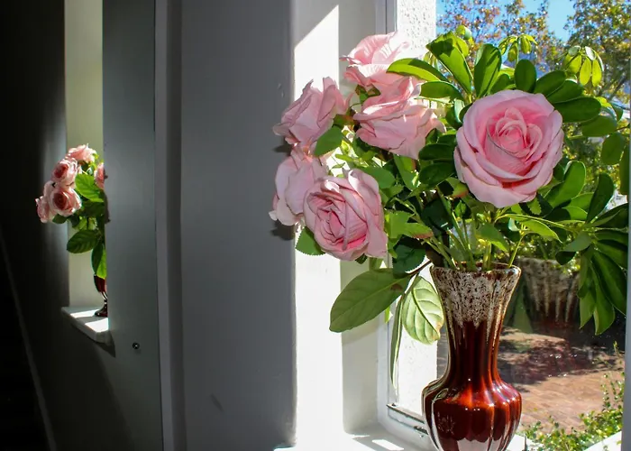 Oak Manor Boutique Guest House