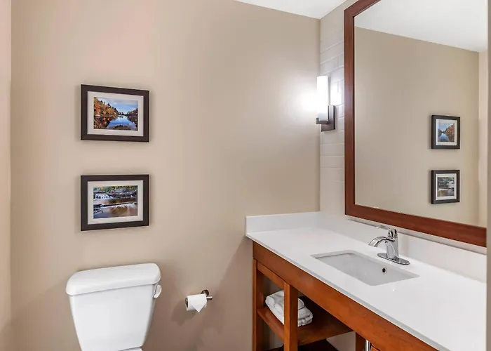 Comfort Inn & Suites Clarkston Pine Knob Area