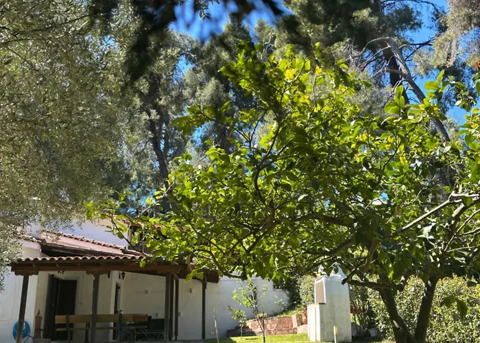 Sani Garden House